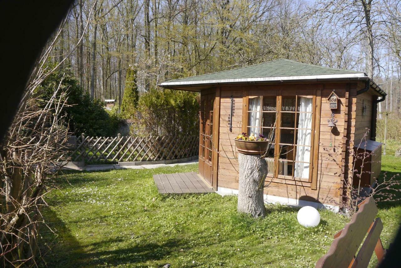 Wohnung 1 Ostseebad Nienhagen Bagian luar foto